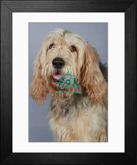 Framed Print : stock images, stock, KCPL, KCPL_Stock, commerical Framed Print : stock images, stock, KCPL, KCPL_Stock, commerical