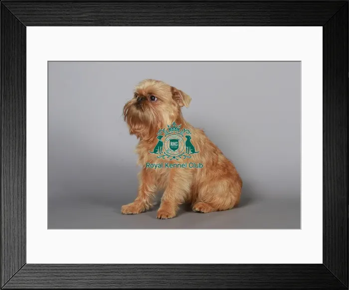 Framed Print : stock images, stock, KCPL, KCPL_Stock, commerical Framed Print : stock images, stock, KCPL, KCPL_Stock, commerical