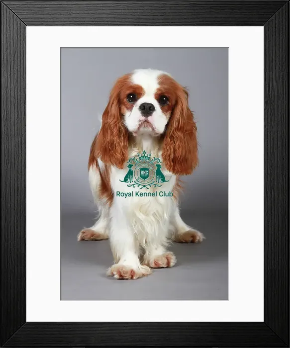 Framed Print : stock images, stock, KCPL, KCPL_Stock, commerical Framed Print : stock images, stock, KCPL, KCPL_Stock, commerical