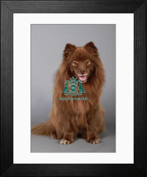 Framed Print : stock images, stock, KCPL, KCPL_Stock, commerical Framed Print : stock images, stock, KCPL, KCPL_Stock, commerical