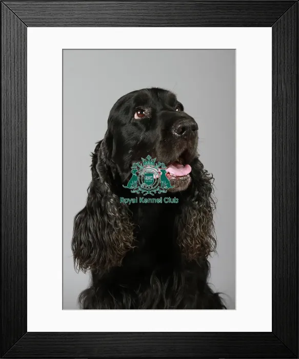 Framed Print : stock images, stock, KCPL, KCPL_Stock, commerical Framed Print : stock images, stock, KCPL, KCPL_Stock, commerical