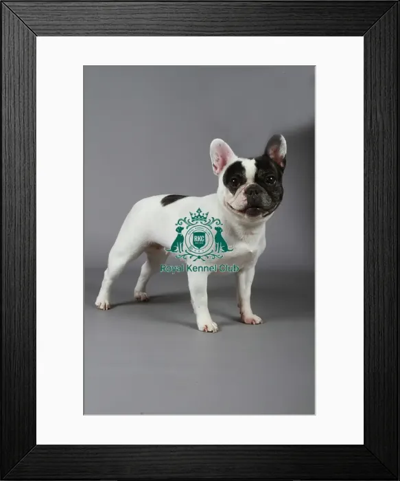 Framed Print : stock images, stock, KCPL, KCPL_Stock, commerical Framed Print : stock images, stock, KCPL, KCPL_Stock, commerical