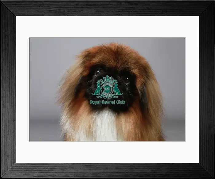 Framed Print : stock images, stock, KCPL, KCPL_Stock, commerical Framed Print : stock images, stock, KCPL, KCPL_Stock, commerical