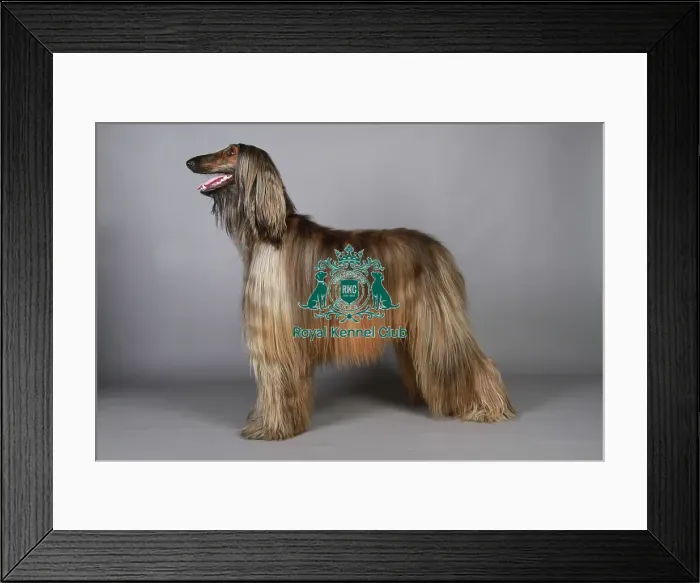 Framed Print : stock images, stock, KCPL, KCPL_Stock, commerical Framed Print : stock images, stock, KCPL, KCPL_Stock, commerical
