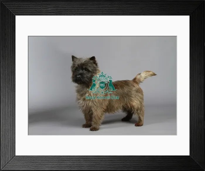 Framed Print : stock images, stock, KCPL, KCPL_Stock, commerical Framed Print : stock images, stock, KCPL, KCPL_Stock, commerical