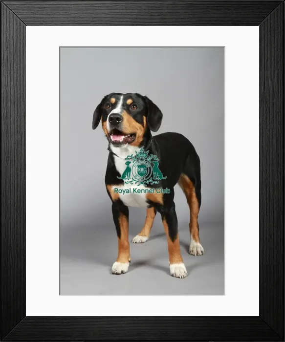 Framed Print : stock images, stock, KCPL, KCPL_Stock, commerical Framed Print : stock images, stock, KCPL, KCPL_Stock, commerical