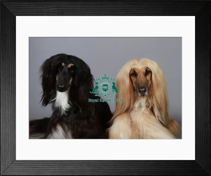 Framed Print : stock images, stock, KCPL, KCPL_Stock, commerical Framed Print : stock images, stock, KCPL, KCPL_Stock, commerical