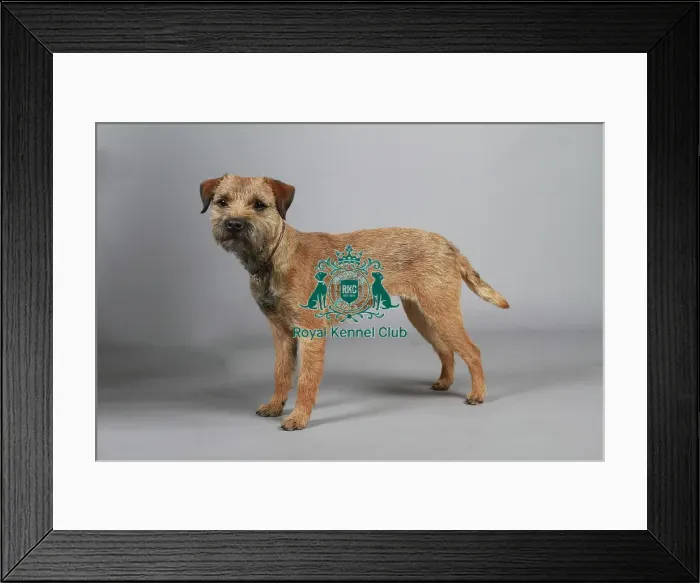 Framed Print : stock images, stock, KCPL, KCPL_Stock, commerical Framed Print : stock images, stock, KCPL, KCPL_Stock, commerical