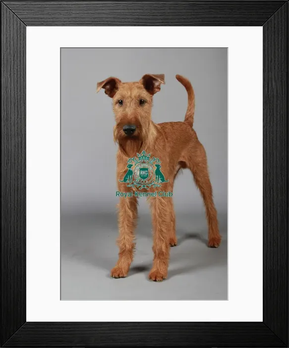 Framed Print : stock images, stock, KCPL, KCPL_Stock, commerical Framed Print : stock images, stock, KCPL, KCPL_Stock, commerical