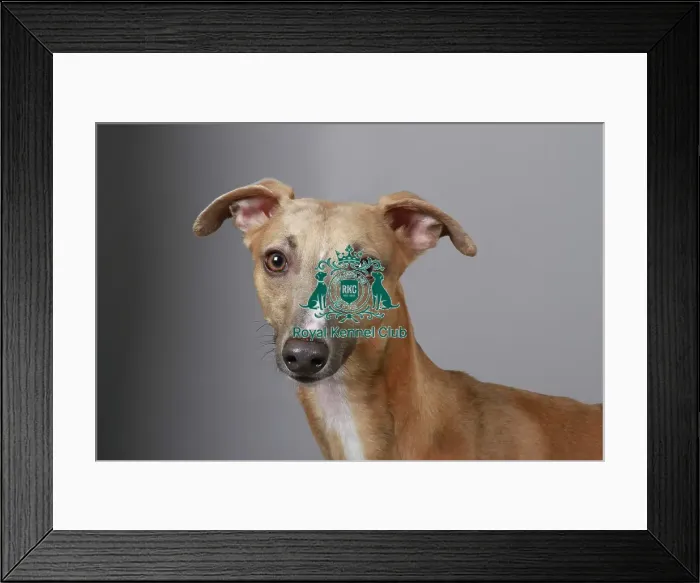 Framed Print : stock images, stock, KCPL, KCPL_Stock, commerical Framed Print : stock images, stock, KCPL, KCPL_Stock, commerical