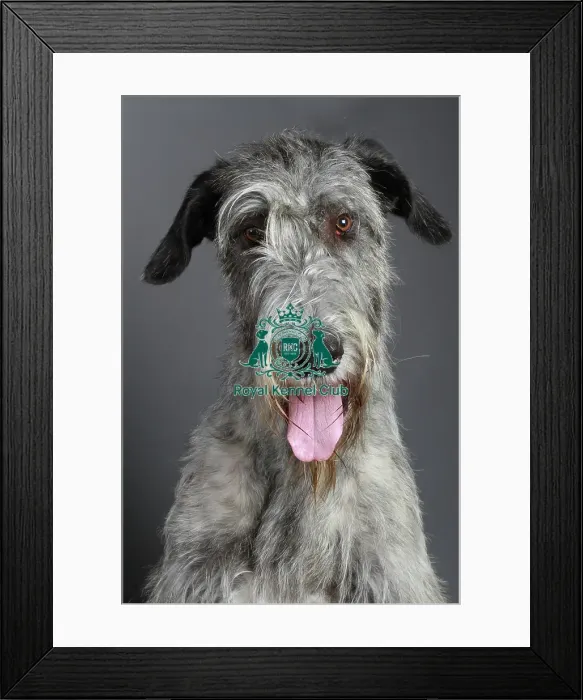 Framed Print : stock images, stock, KCPL, KCPL_Stock, commerical Framed Print : stock images, stock, KCPL, KCPL_Stock, commerical