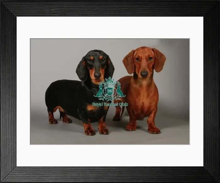 Framed Print : stock images, stock, KCPL, KCPL_Stock, commerical Framed Print : stock images, stock, KCPL, KCPL_Stock, commerical
