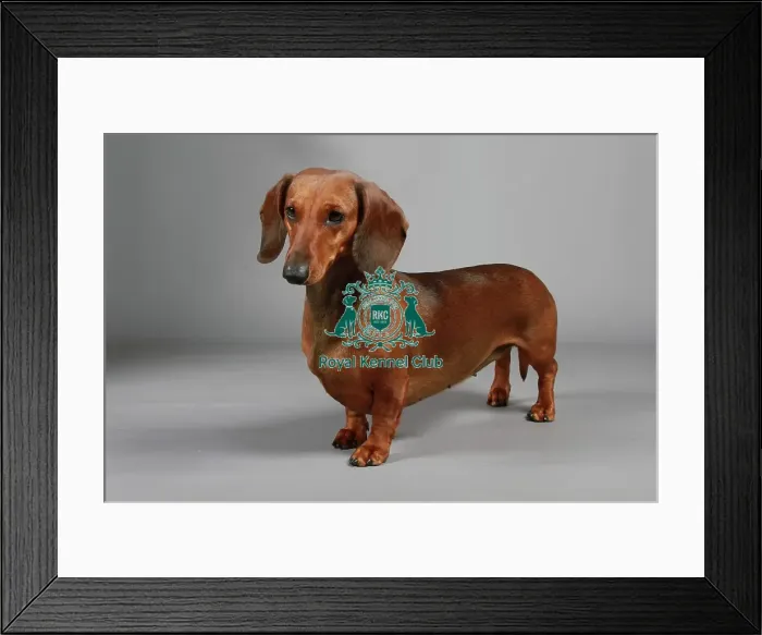 Framed Print : stock images, stock, KCPL, KCPL_Stock, commerical Framed Print : stock images, stock, KCPL, KCPL_Stock, commerical