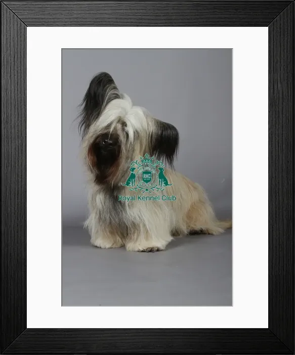 Framed Print : stock images, stock, KCPL, KCPL_Stock, commerical Framed Print : stock images, stock, KCPL, KCPL_Stock, commerical