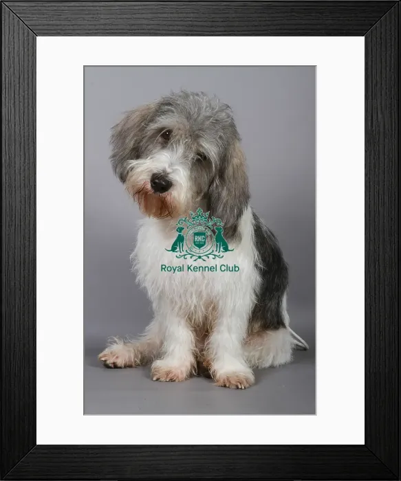Framed Print : stock images, stock, KCPL, KCPL_Stock, commerical Framed Print : stock images, stock, KCPL, KCPL_Stock, commerical