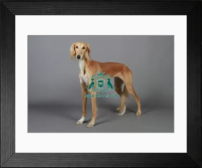 Framed Print : stock images, stock, KCPL, KCPL_Stock, commerical Framed Print : stock images, stock, KCPL, KCPL_Stock, commerical