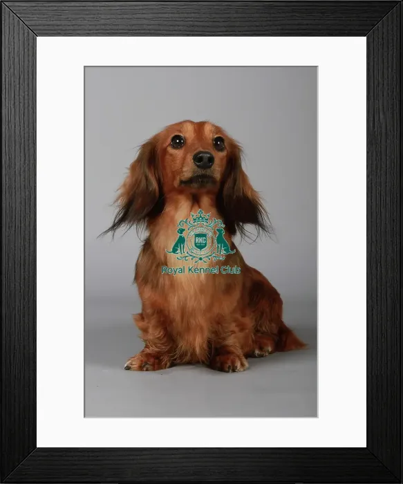 Framed Print : stock images, stock, KCPL, KCPL_Stock, commerical Framed Print : stock images, stock, KCPL, KCPL_Stock, commerical