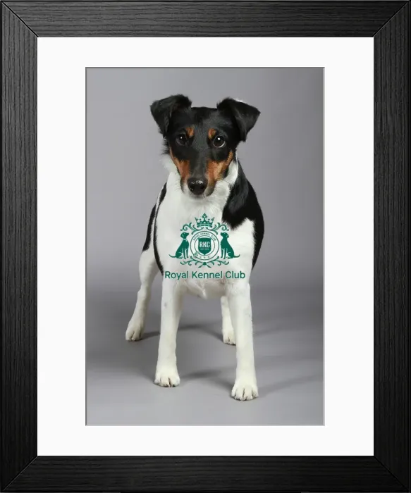 Framed Print : stock images, stock, KCPL, KCPL_Stock, commerical Framed Print : stock images, stock, KCPL, KCPL_Stock, commerical
