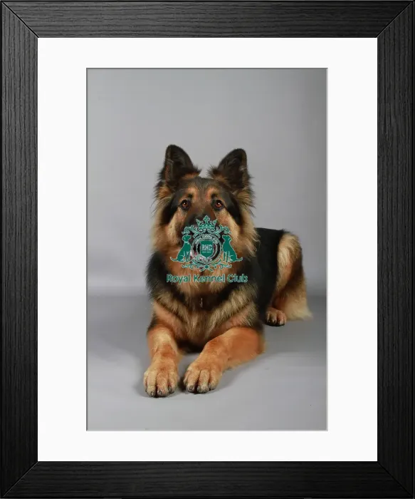 Framed Print : stock images, stock, KCPL, KCPL_Stock, commerical Framed Print : stock images, stock, KCPL, KCPL_Stock, commerical