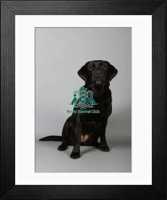 Framed Print : stock images, stock, KCPL, KCPL_Stock, commerical