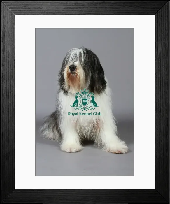 Framed Print : stock images, stock, KCPL, KCPL_Stock, commerical Framed Print : stock images, stock, KCPL, KCPL_Stock, commerical
