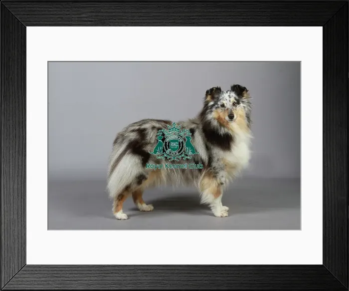 Framed Print : stock images, stock, KCPL, KCPL_Stock, commerical Framed Print : stock images, stock, KCPL, KCPL_Stock, commerical