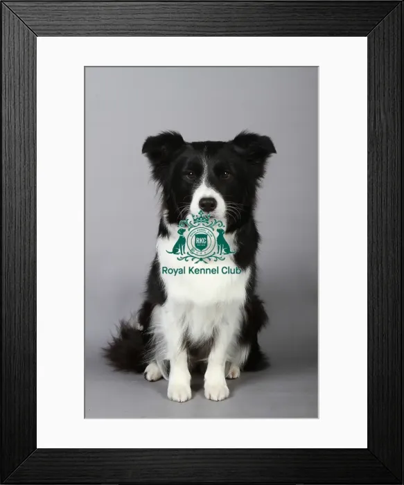 Framed Print : stock images, stock, KCPL, KCPL_Stock, commerical Framed Print : stock images, stock, KCPL, KCPL_Stock, commerical