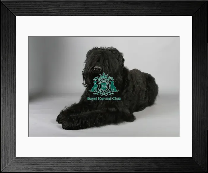 Framed Print : stock images, stock, KCPL, KCPL_Stock, commerical Framed Print : stock images, stock, KCPL, KCPL_Stock, commerical