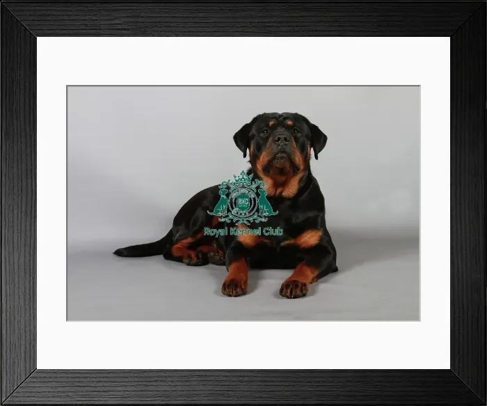 Framed Print : stock images, stock, KCPL, KCPL_Stock, commerical Framed Print : stock images, stock, KCPL, KCPL_Stock, commerical
