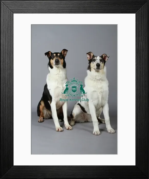 Framed Print : stock images, stock, KCPL, KCPL_Stock, commerical Framed Print : stock images, stock, KCPL, KCPL_Stock, commerical