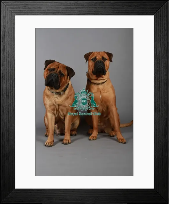 Framed Print : stock images, stock, KCPL, KCPL_Stock, commerical Framed Print : stock images, stock, KCPL, KCPL_Stock, commerical