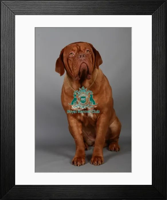 Framed Print : stock images, stock, KCPL, KCPL_Stock, commerical Framed Print : stock images, stock, KCPL, KCPL_Stock, commerical
