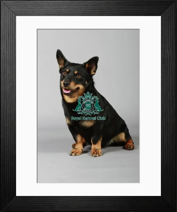Framed Print : stock images, stock, KCPL, KCPL_Stock, commerical Framed Print : stock images, stock, KCPL, KCPL_Stock, commerical