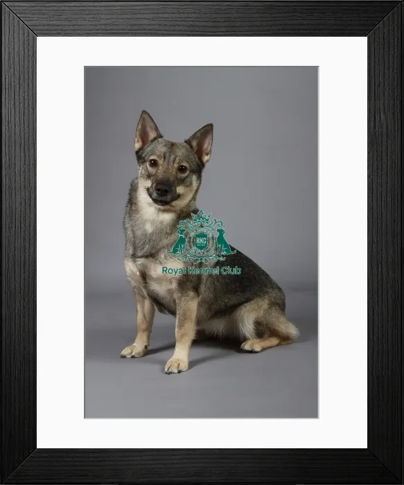 Framed Print : stock images, stock, KCPL, KCPL_Stock, commerical Framed Print : stock images, stock, KCPL, KCPL_Stock, commerical