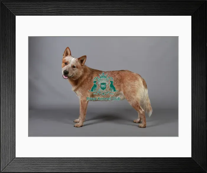 Framed Print : stock images, stock, KCPL, KCPL_Stock, commerical Framed Print : stock images, stock, KCPL, KCPL_Stock, commerical