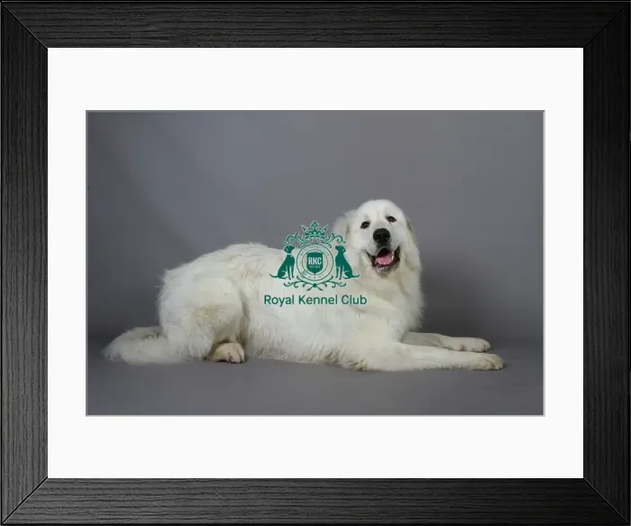 Framed Print : stock images, stock, KCPL, KCPL_Stock, commerical Framed Print : stock images, stock, KCPL, KCPL_Stock, commerical