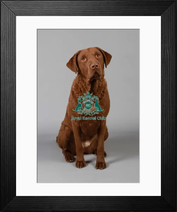 Framed Print : stock images, stock, KCPL, KCPL_Stock, commerical Framed Print : stock images, stock, KCPL, KCPL_Stock, commerical