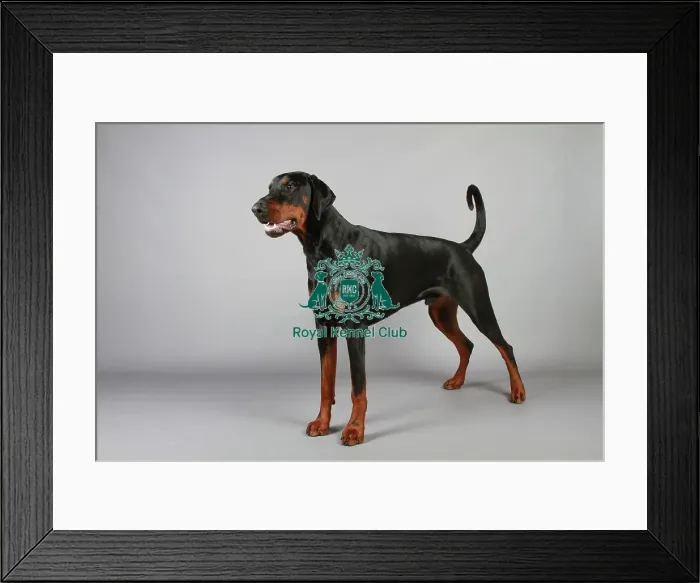 Framed Print : stock images, stock, KCPL, KCPL_Stock, commerical Framed Print : stock images, stock, KCPL, KCPL_Stock, commerical
