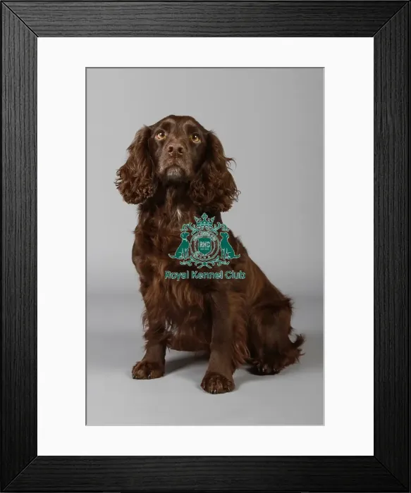 Framed Print : stock images, stock, KCPL, KCPL_Stock, commerical Framed Print : stock images, stock, KCPL, KCPL_Stock, commerical