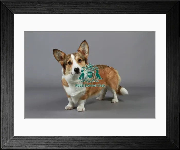 Framed Print : stock images, stock, KCPL, KCPL_Stock, commerical Framed Print : stock images, stock, KCPL, KCPL_Stock, commerical