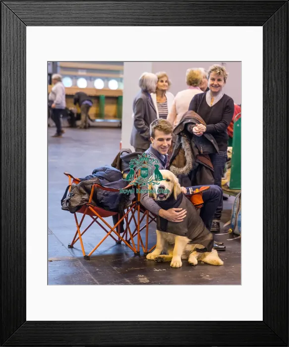 Framed Print : First morning waiting