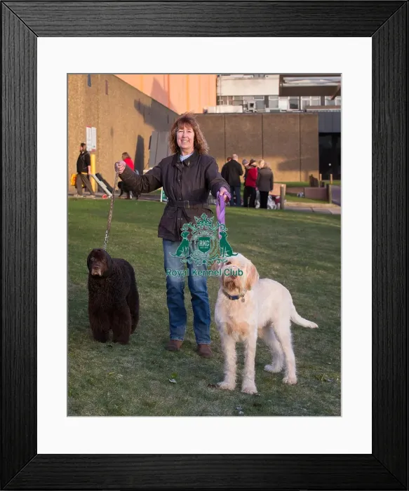 Framed Print : Arriving on Gundog Day Framed Print : Arriving on Gundog Day