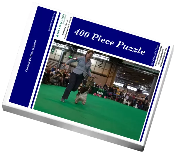 Competing in Best of Breed