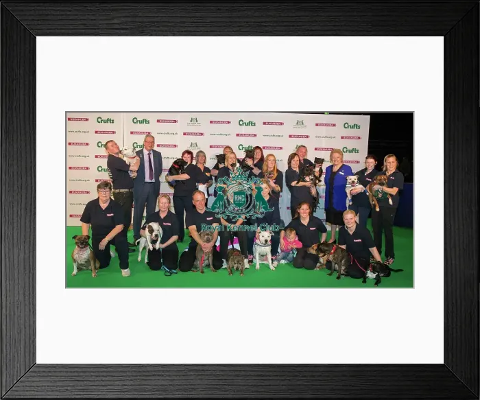 Framed Print : Photo Call The kennel Club handing over a cheque to the East Anglian Staffordshire