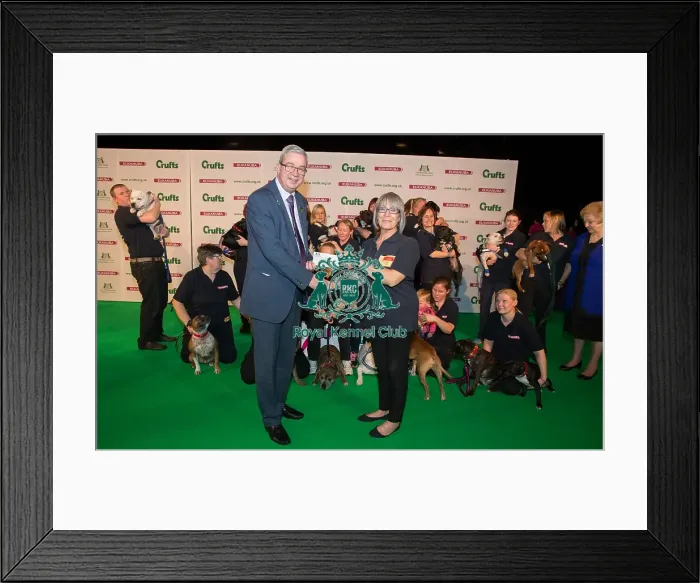 Framed Print : Photo Call The kennel Club handing over a cheque to the East Anglian Staffordshire
