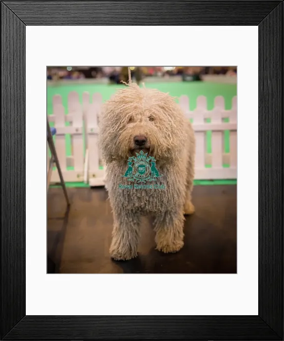 Framed Print : general shot Framed Print : general shot