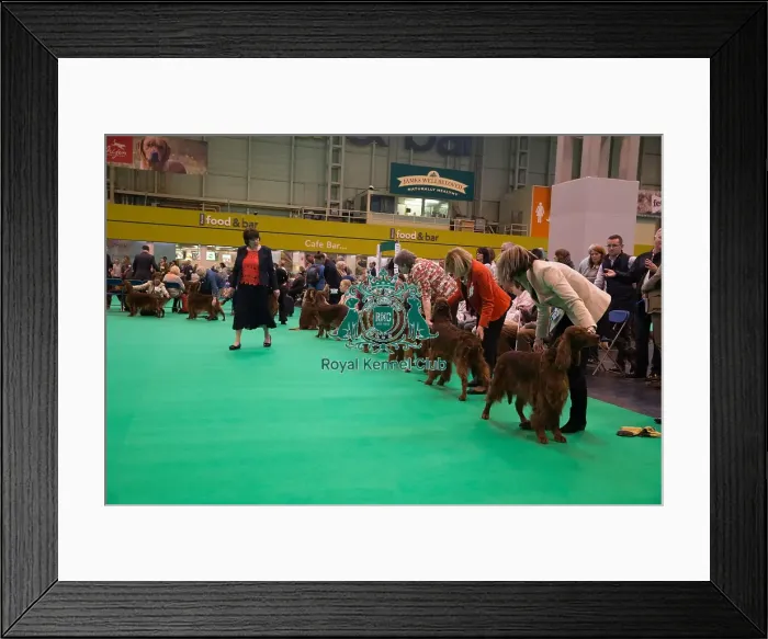 Framed Print : Being Judged Framed Print : Being Judged