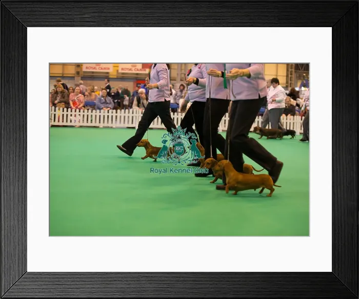 Framed Print : General Framed Print : General