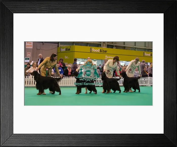 Framed Print : General Framed Print : General