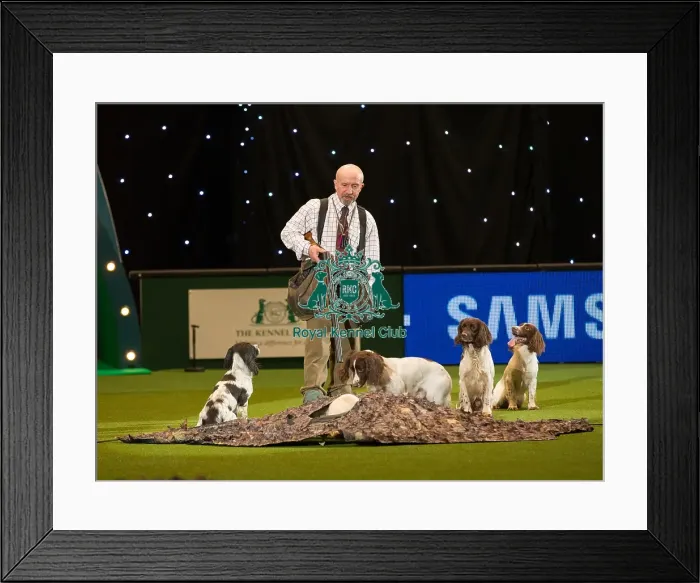 Framed Print : Adrian Slater Gundog presentation Framed Print : Adrian Slater Gundog presentation